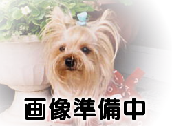 第五不動産の物件外観