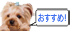 第5不動産の賃貸物件